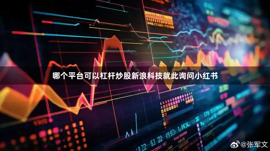 哪个平台可以杠杆炒股　　新浪科技就此询问小红书
